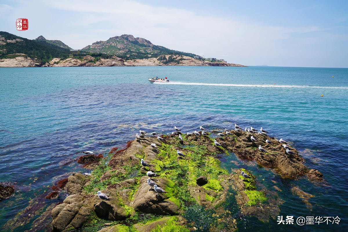 威海5月游记,威海最美一日游