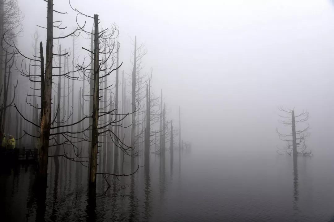 云旅游带你看遍天下美景,一起去旅行吧旅游