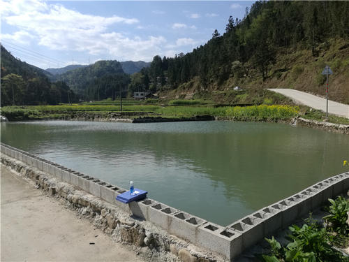 95后创业鱼塘,在农村如何开鱼塘