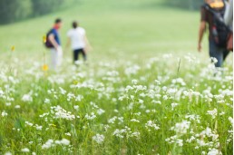 事业单位判断推理知识点总结,事业单位逻辑推理有哪几种题目
