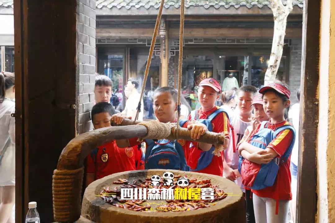 厉害了！这几个小学生竟然花了5天时间在森林里造了一个......