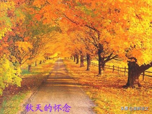 部编七上语文第五单元知识点总结,初中语文七年级上册单元测试b卷