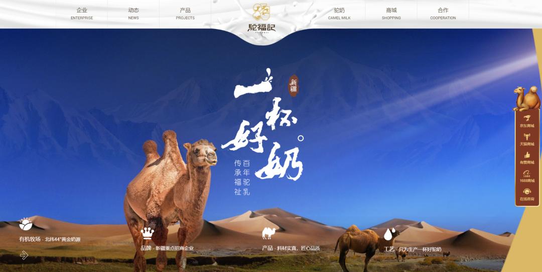 骆驼奶粉辨别真假,怎样鉴别骆驼奶粉的真假方法