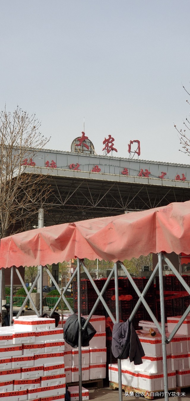 北京新发地批发市场水果行情,今日北京果蔬价格多少