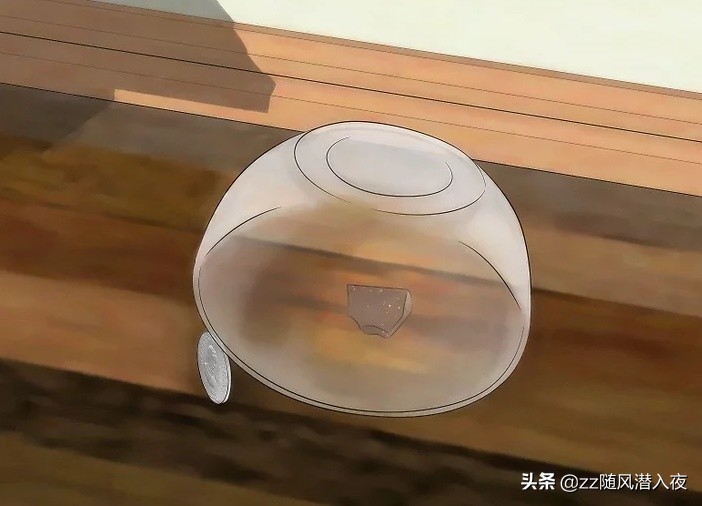 驱逐老鼠最好的办法,怎么样驱逐家里的老鼠