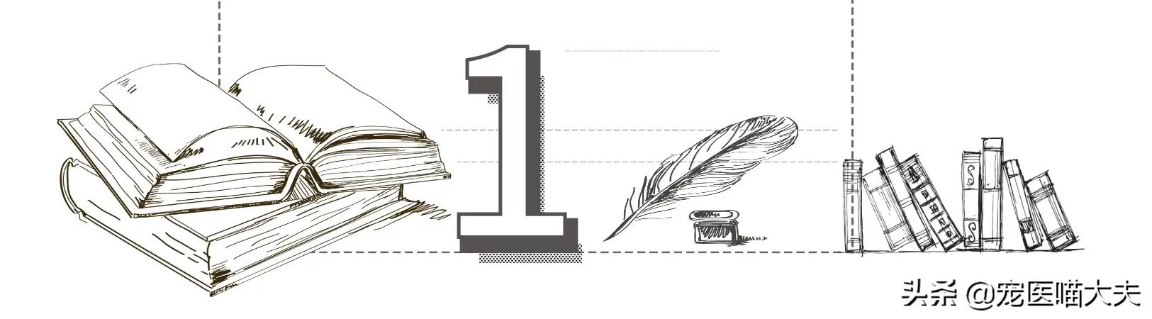 猫狗大战猫和狗打架,猫狗大战catsanddogs