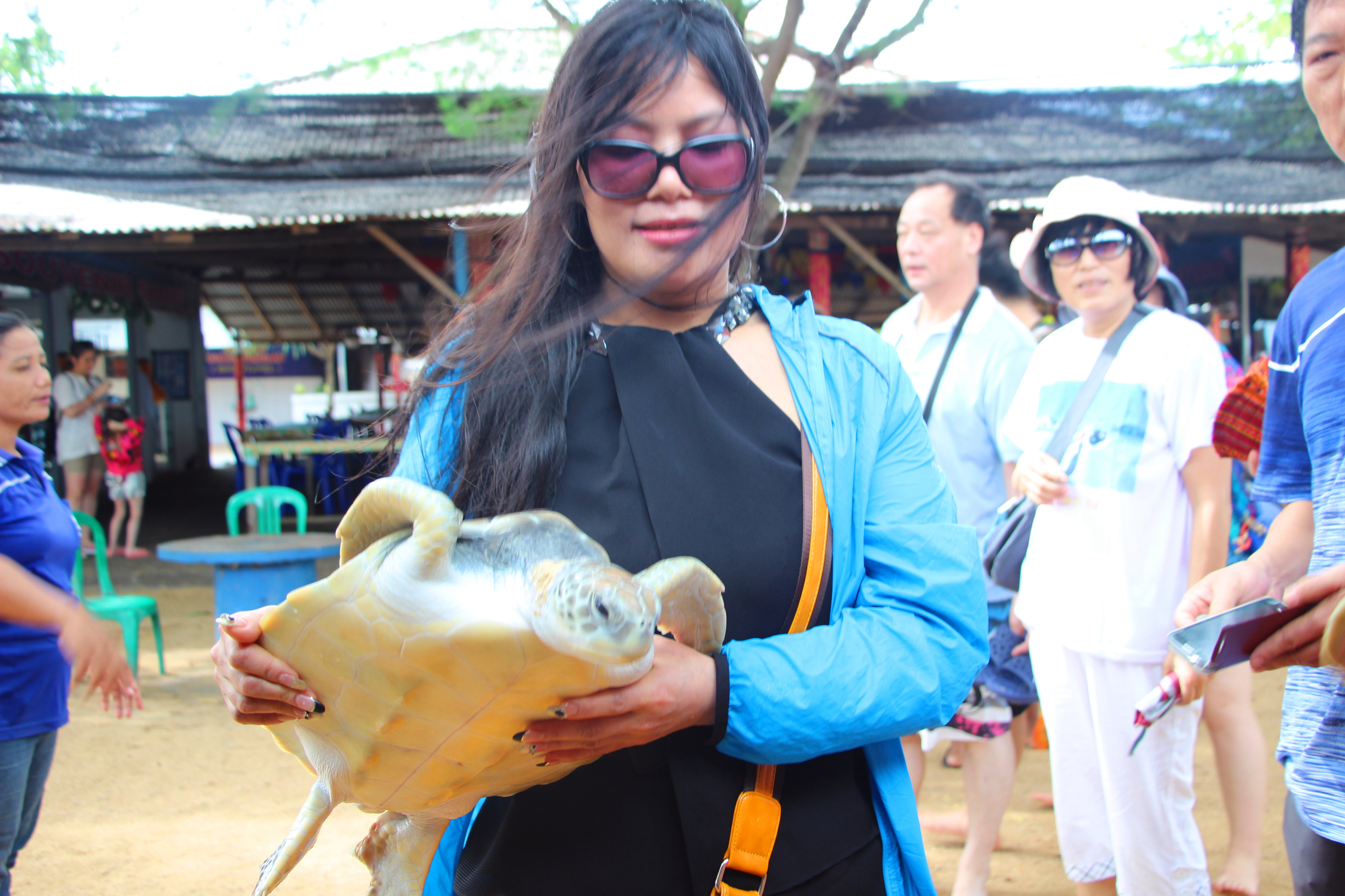 天堂之岛巴厘岛，半自由行攻略和必去景点