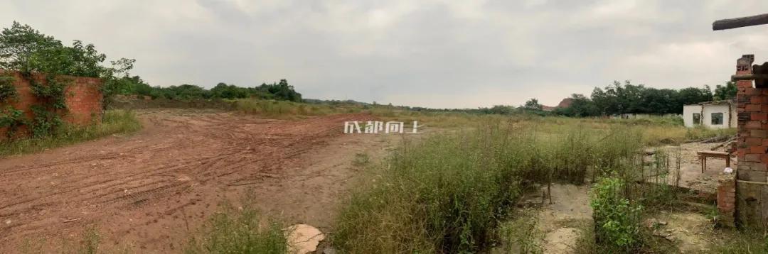 成都兴城zhua进“冲超组”，城北人民应该最开心