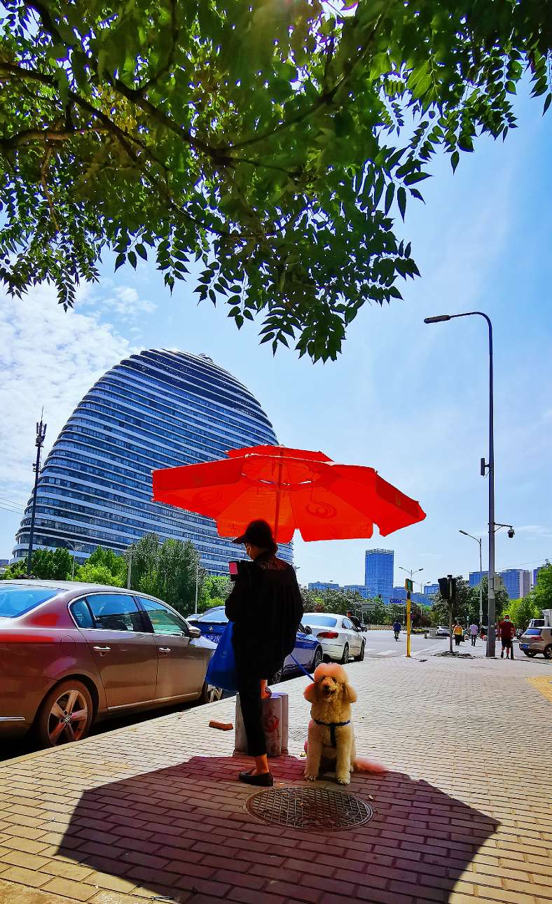 鍖椾含绉樺,鍖椾含绉樺涔嬫梾