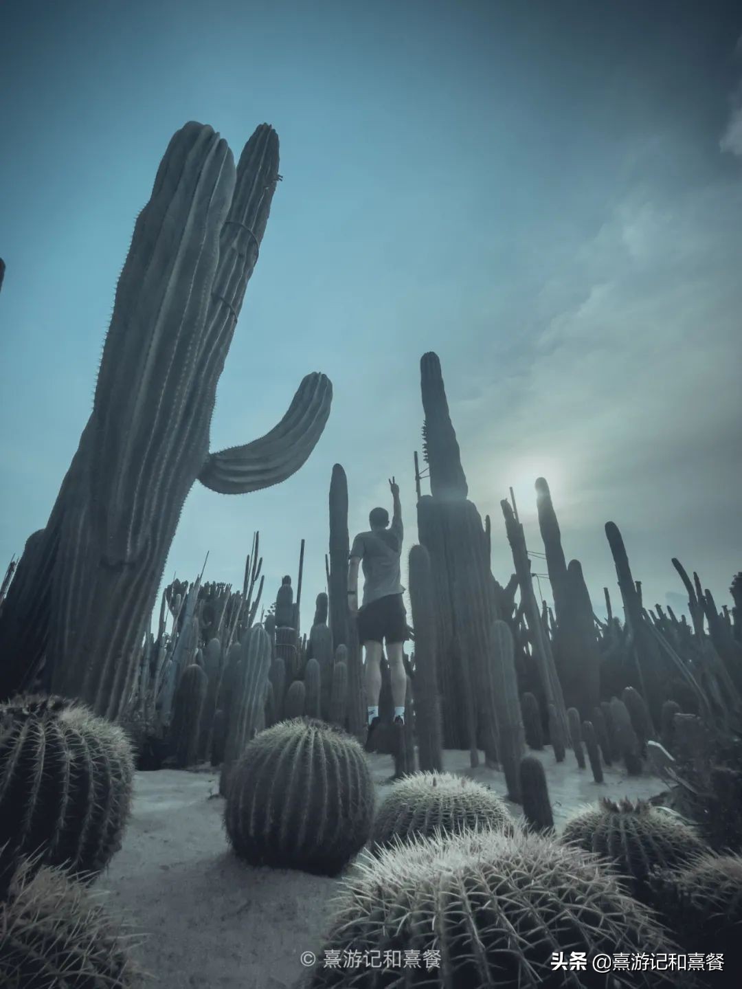 去厦门必须体验的六件事,送给第一次去厦门的五点建议