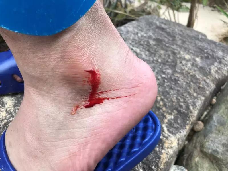 在野外捡到这几种石头千万不要扔,河边捡石技巧