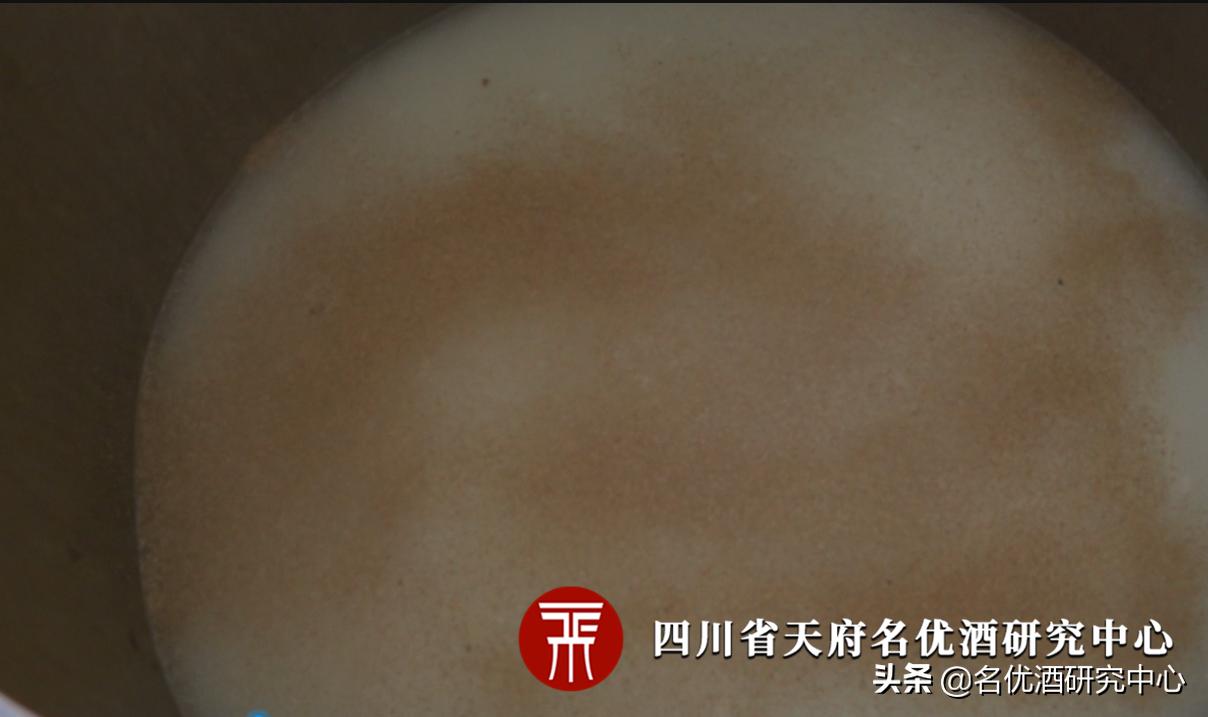 酒发酵醪液发霉，后果很严重，你可别不信