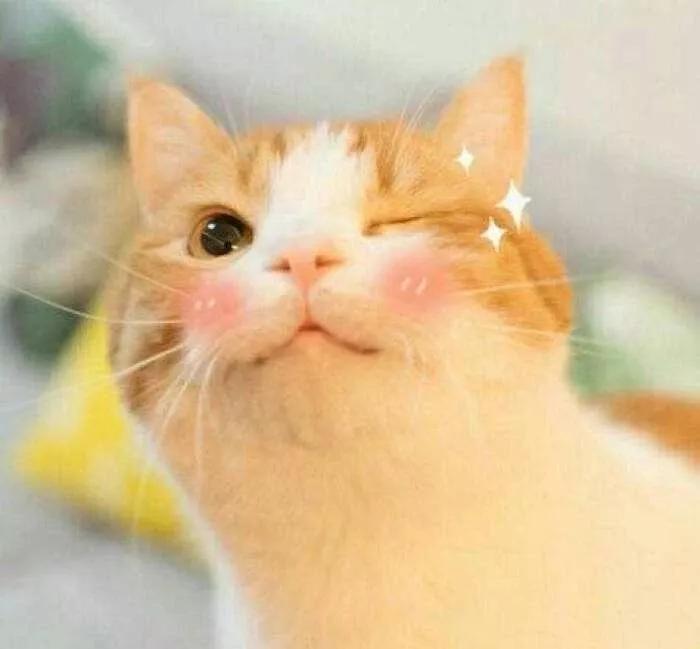 今年最后一次剁手,2020最后一次剁手