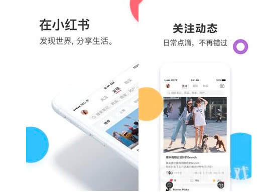 2021社交电商app排行榜,最火的社交电商平台2020