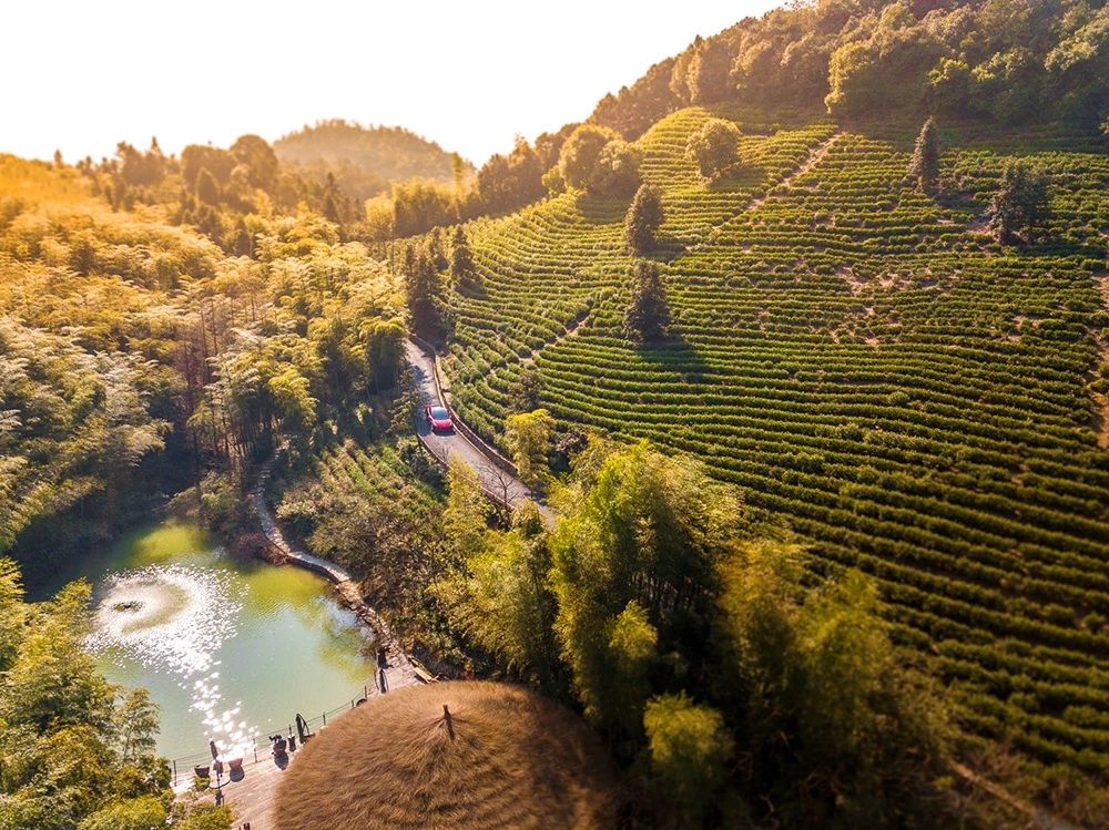 裸心谷特价房券,裸心堡特价预定