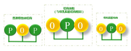 opo含量高性价比高的奶粉,含opo的奶粉一段有哪些