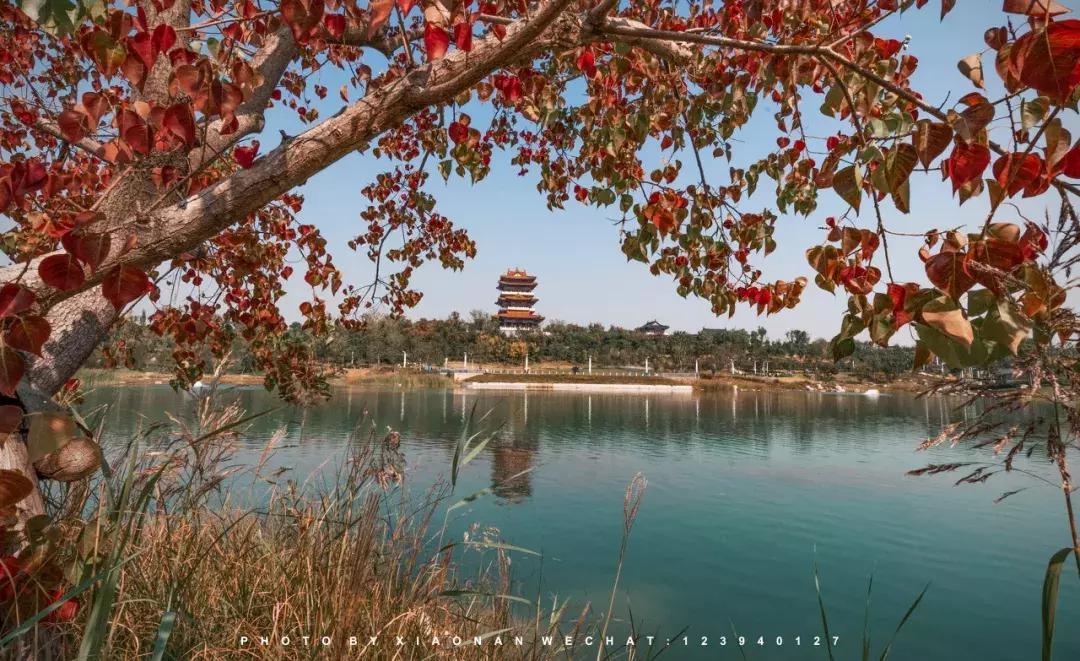 中秋不出门宅在家,中秋节不出门在家怎么玩