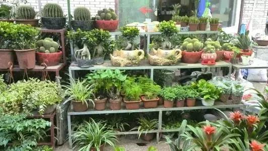 我变成了一颗石头作文三年级,三年级第5课的作文300字