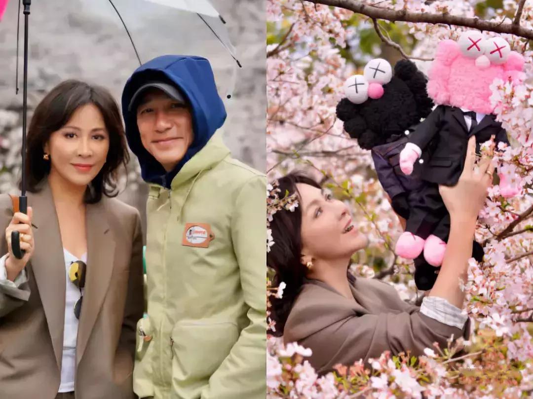 优衣库kaws还会补货吗,疯抢优衣库kaws衣服