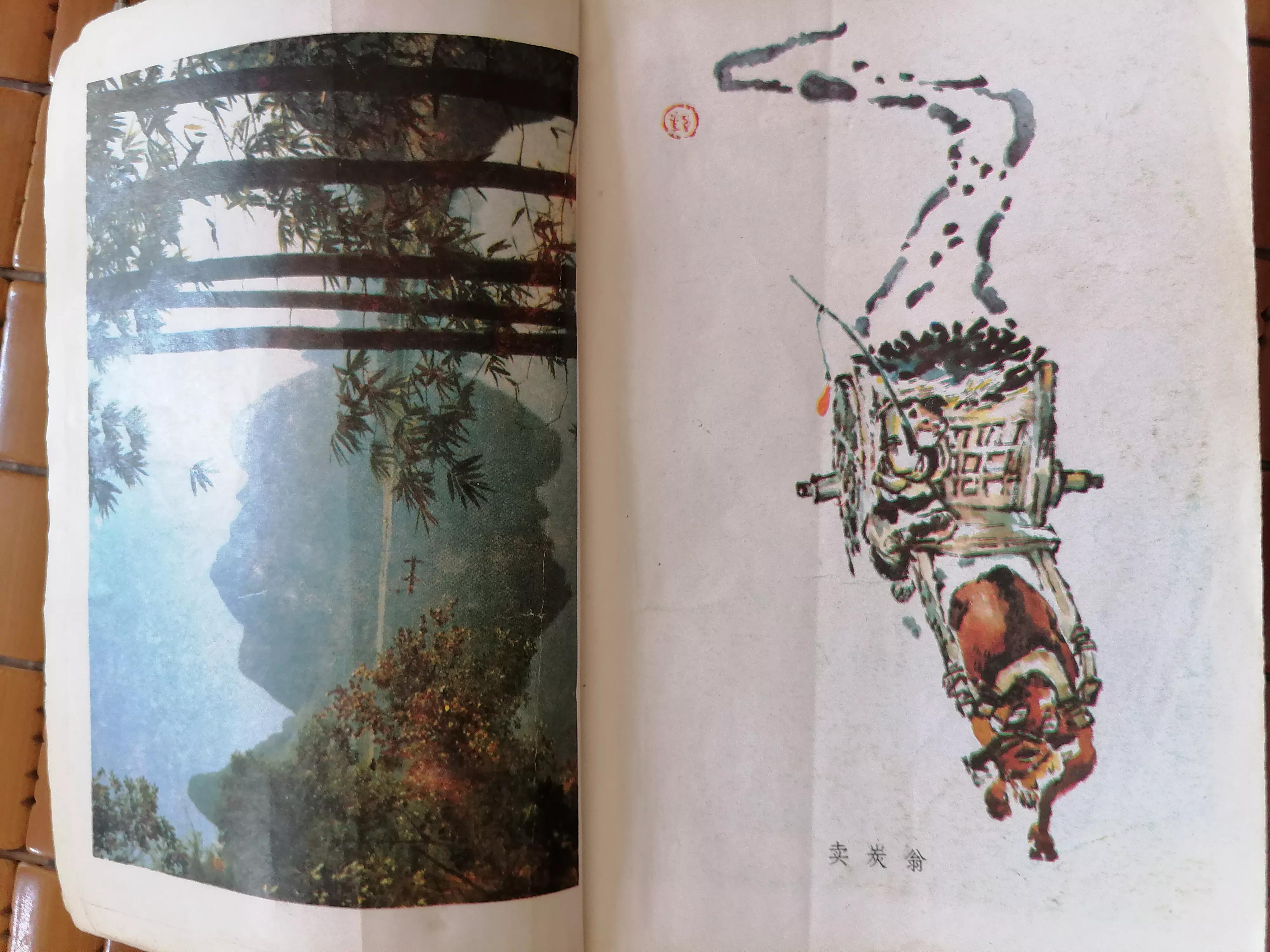 那些年的语文教材,初中经典语文课