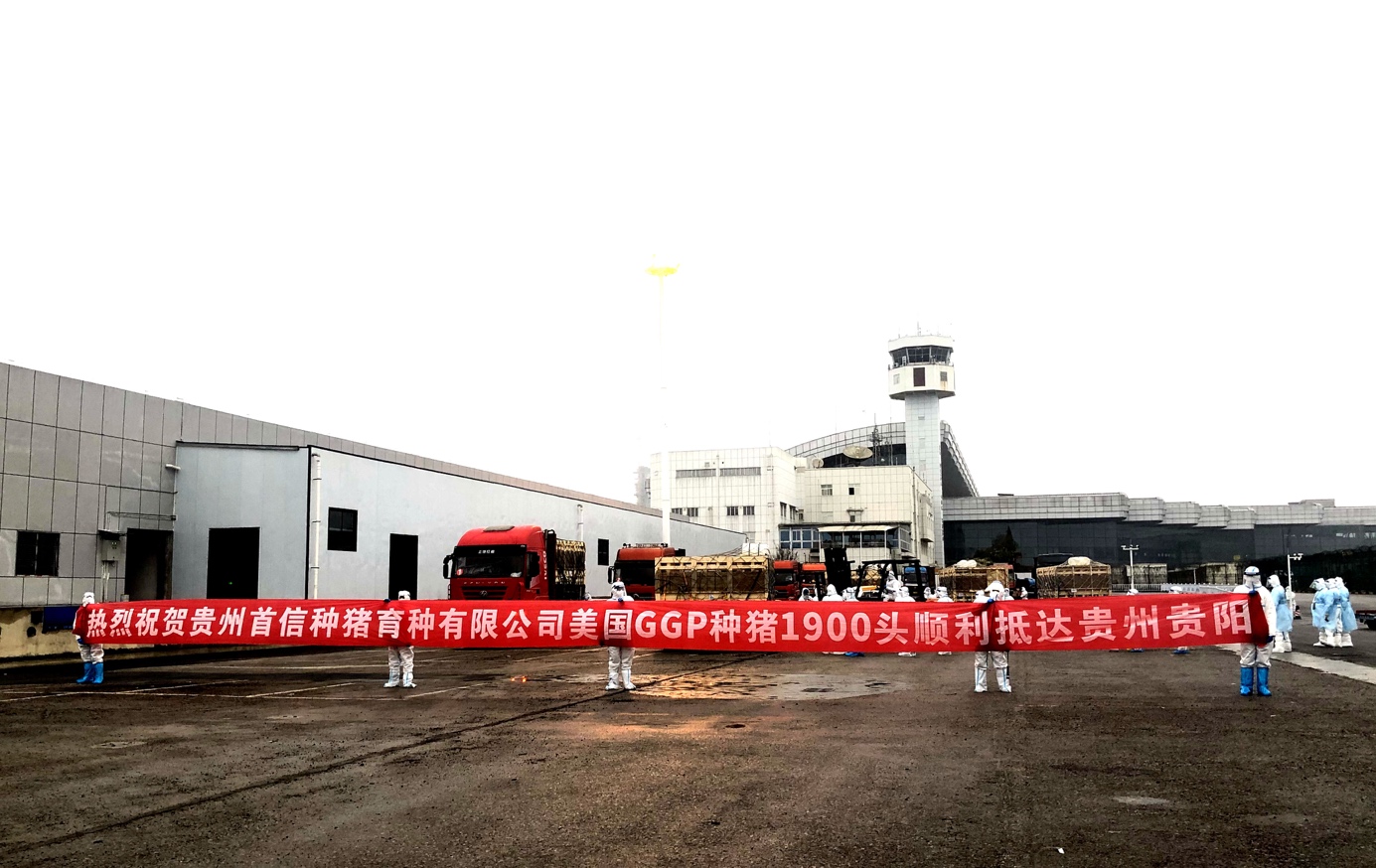 首农食品集团蔬菜,首农集团家育猪场