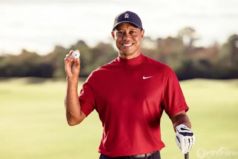 老虎伍兹车祸哪一年,老虎伍兹车祸死亡