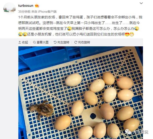 快让爱玩虫子的女儿逼疯了!孩子喜欢“恶心“的小动物怎么破