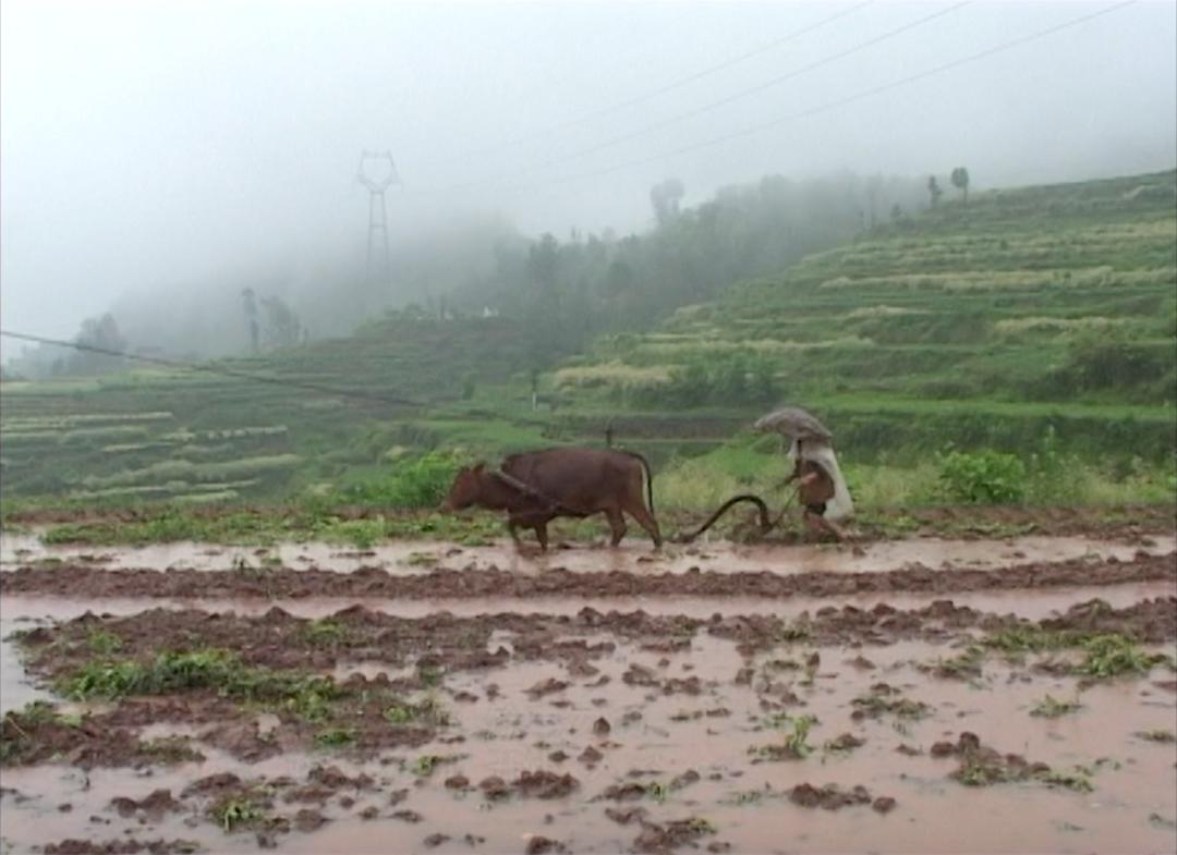 美院杀马特,美院老师躲过变态杀人案