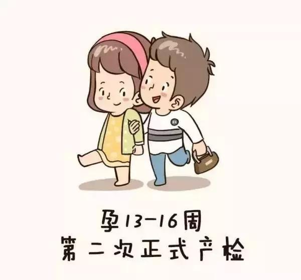 孕妇产检全流程手绘图,产科医生画图