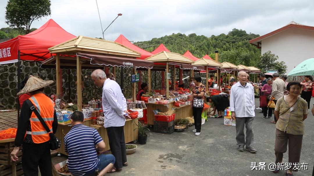 山水园间，心系洋畲