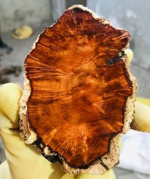 十几块的文玩盘起来竟然也很好看,最适合穷人盘的文玩