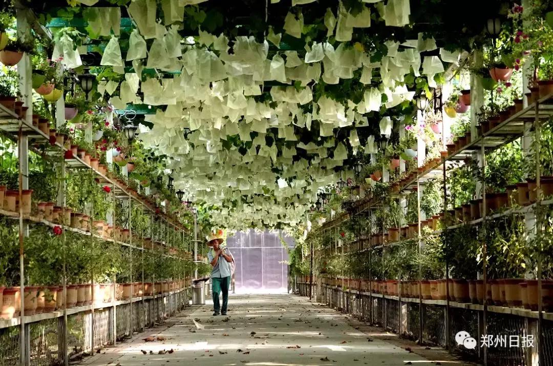 向全国推介郑州之惠济区：这里是山水惠济