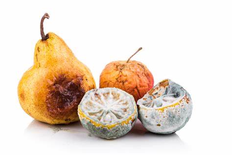 热食物放冰箱对冰箱有危害么,热的食物可以直接放冰箱吗