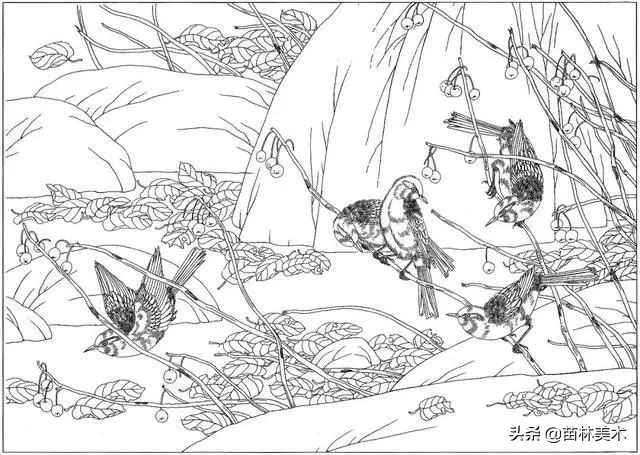 现代国画工笔花鸟白描及完整版,路雨年工笔白描花鸟团扇高清图片