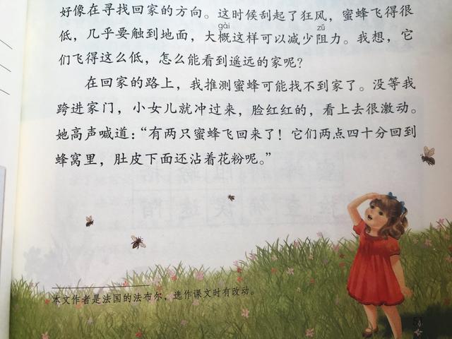 三年语文《花钟》《蜜蜂》《小虾》，资深教师备课重点，建议收藏