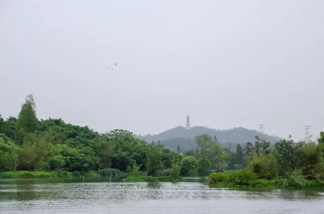 小鸟天堂真实现状,小鸟天堂后续怎样了