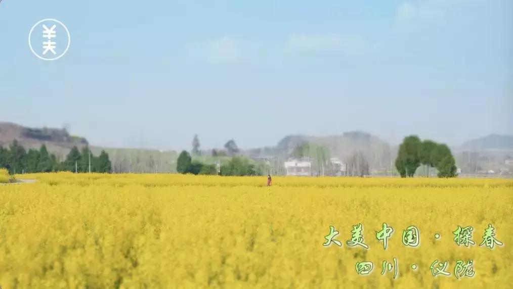 仪陇春天美景,仪陇县夜景震撼上央视