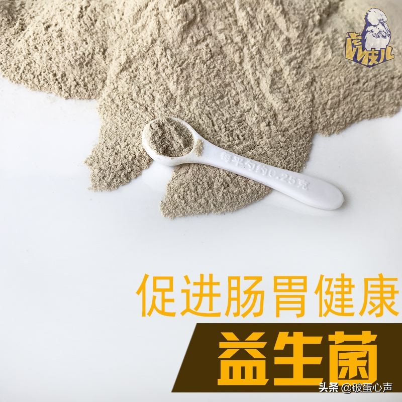 鹦鹉喂养的诀窍是什么,如何给鹦鹉鸟食物喂养好