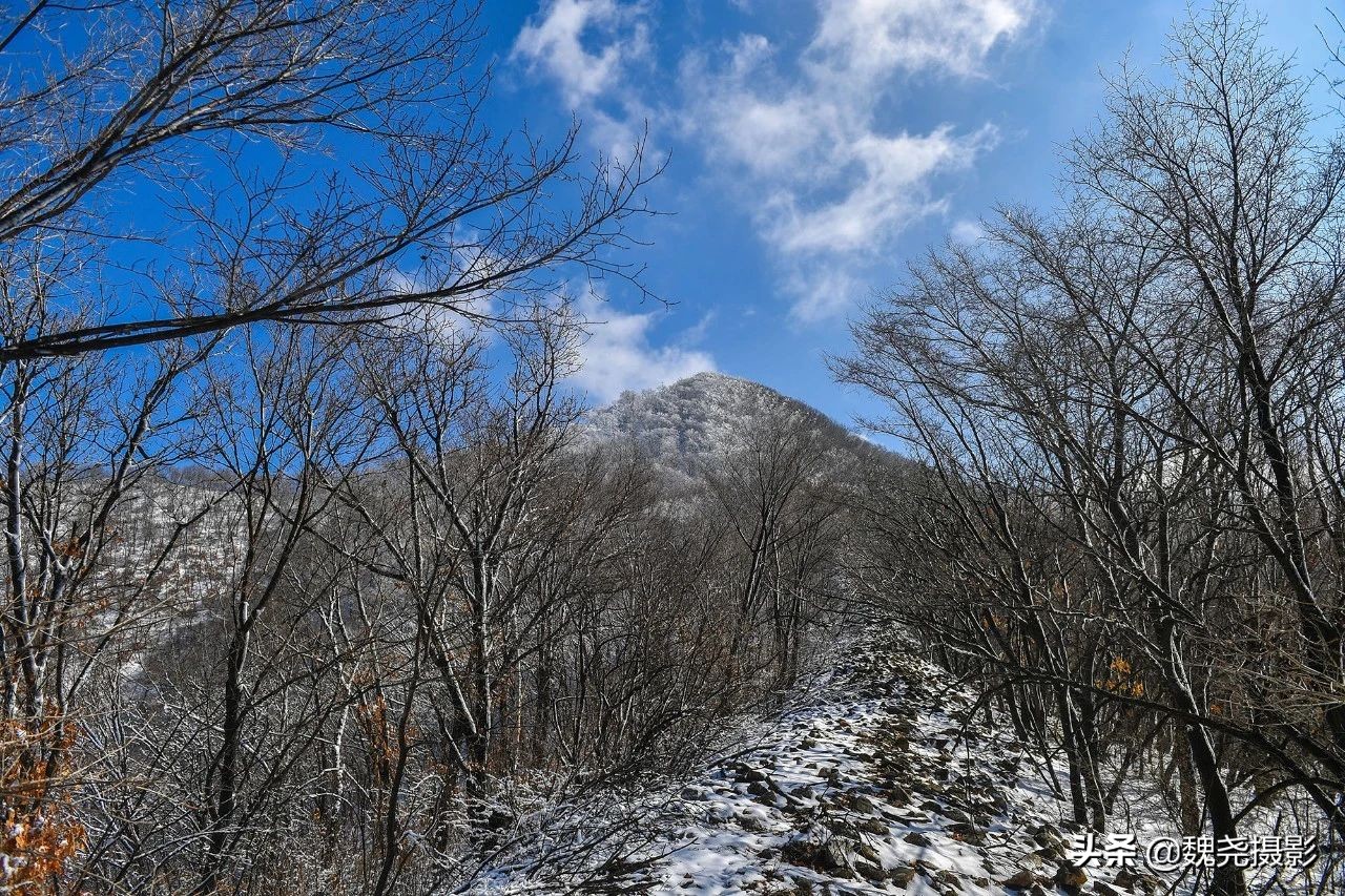 雪+雾凇+侧金盏+款冬=一次完美寻花之旅