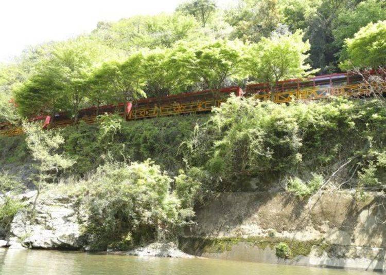 京都保津川,日本京都游船