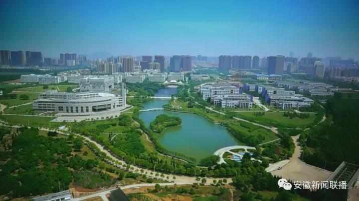 安徽就业前景最好的专业,安徽就业率最高的专业