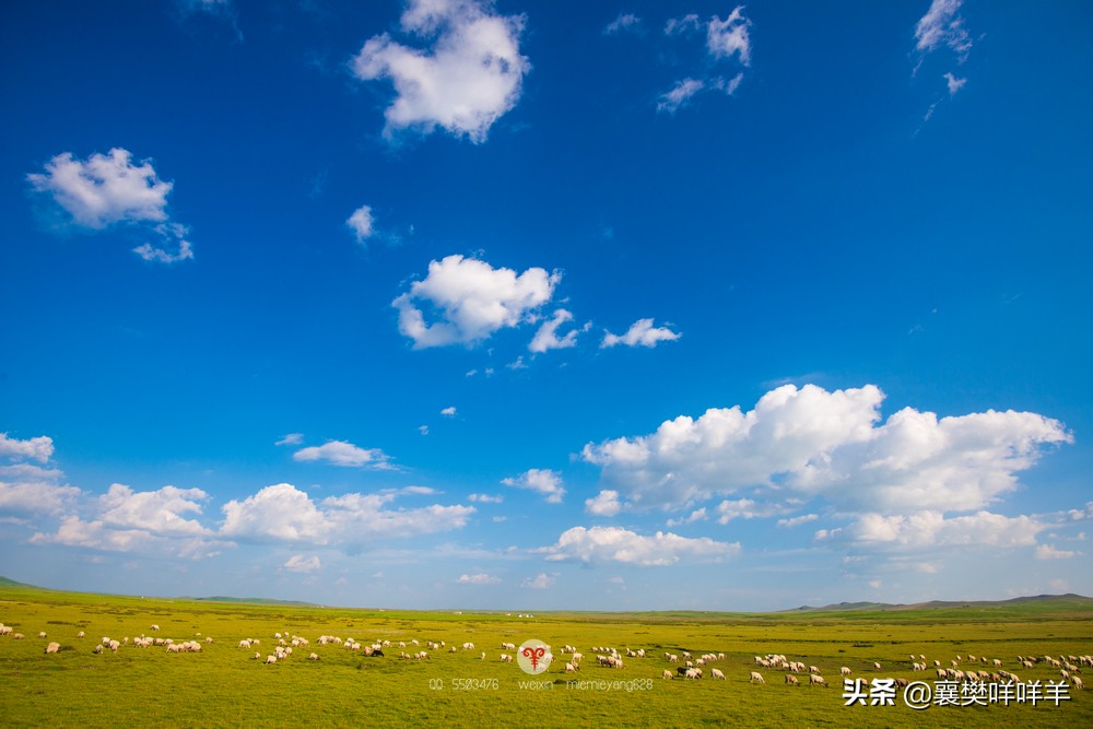 中国名马之乡,也是亚洲第一天然牧场