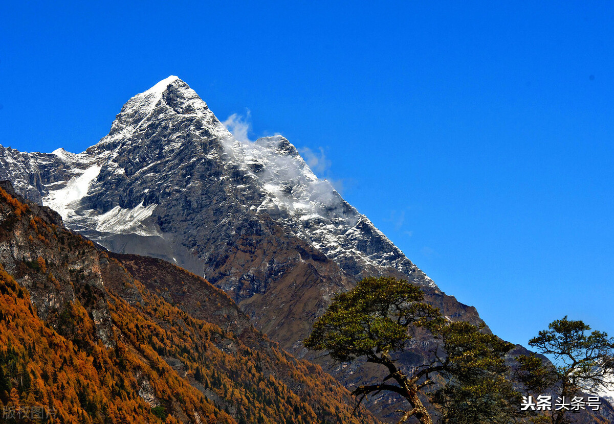 如何找到自己的兴趣爱好,如何找到自己热爱的事业