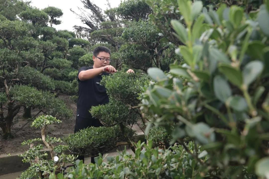 如皋文明网,中国江苏文明网