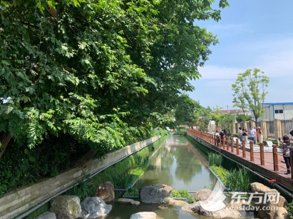 上海的黄浦江有多脏,上海的河道为什么那么臭