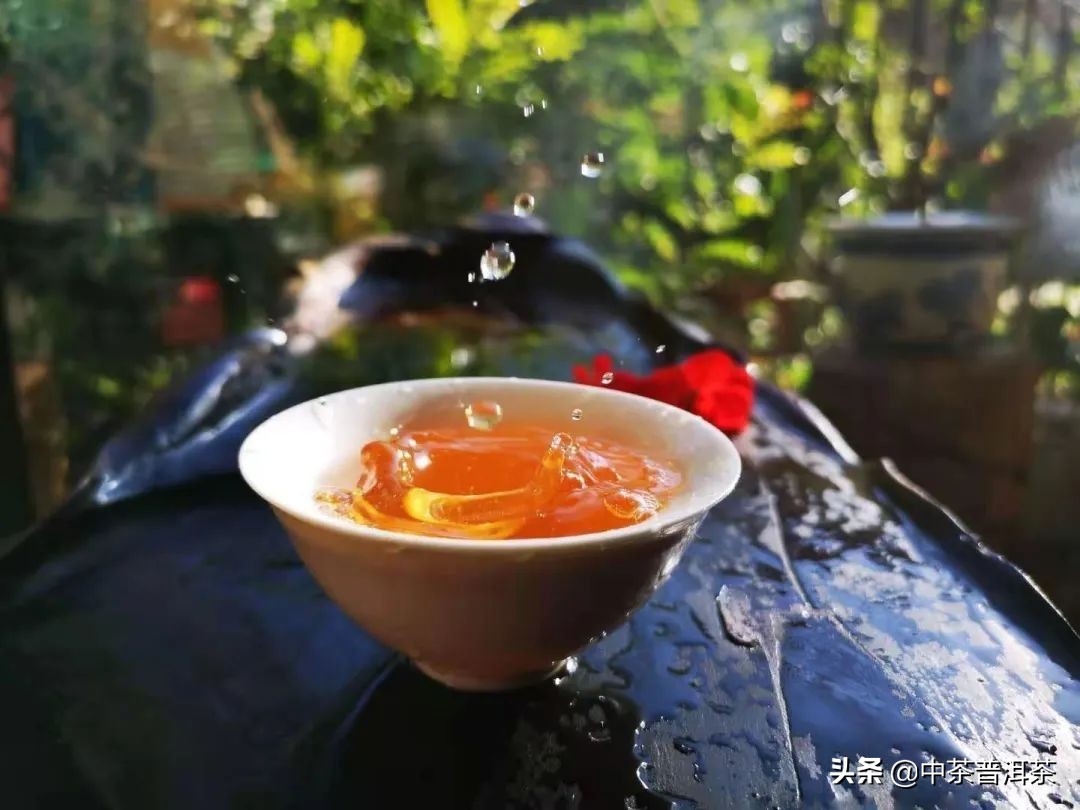 中茶普洱茶生茶推荐,中茶2021臻品黄印熟茶评测