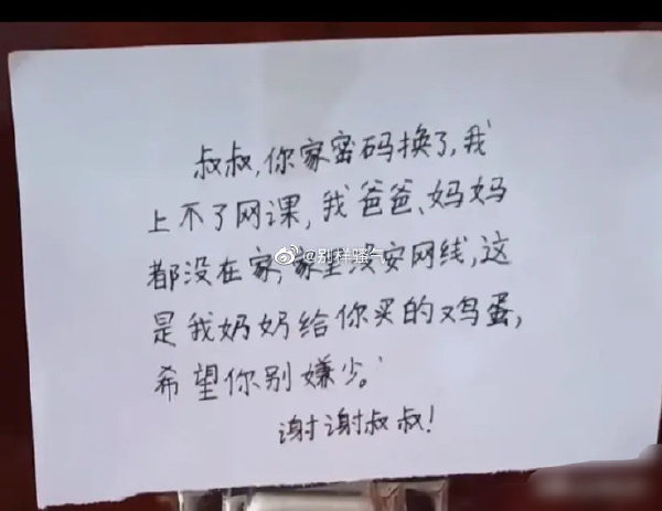 一进门就看见小蜜蜂在追着神奇女侠