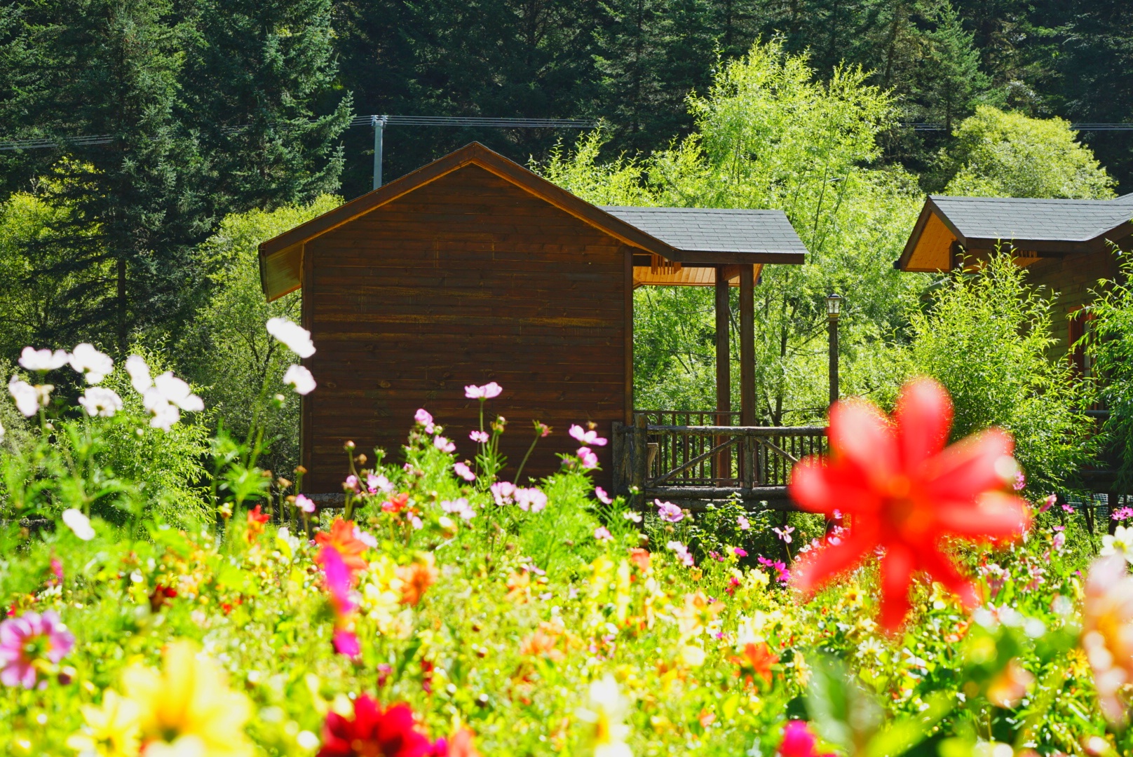 川西五日游马尔康,从成都到马尔康沿途风景