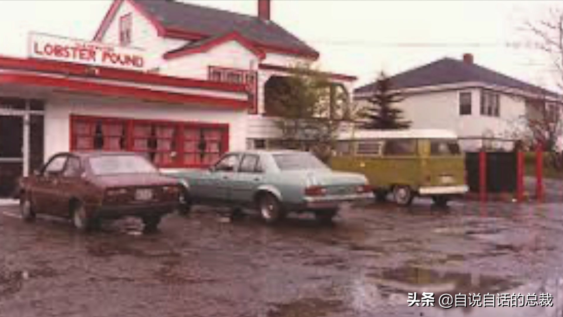 蚬蚌蛏的区别是什么,蚶子蛤蜊蚬子区别