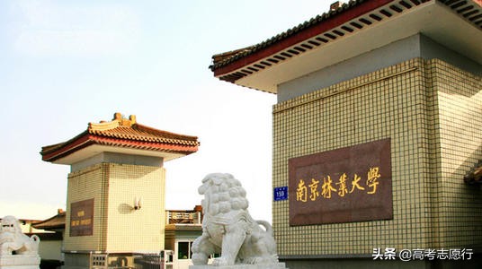 南京这所大学有点“偏冷”，就业一点都不冷，农口就业仅二成多
